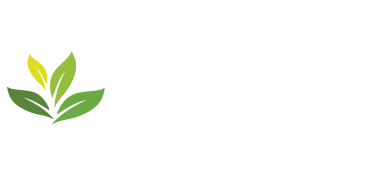 Cidrão dos Brejos